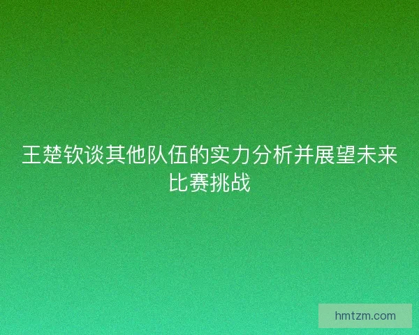 王楚钦谈其他队伍的实力分析并展望未来比赛挑战