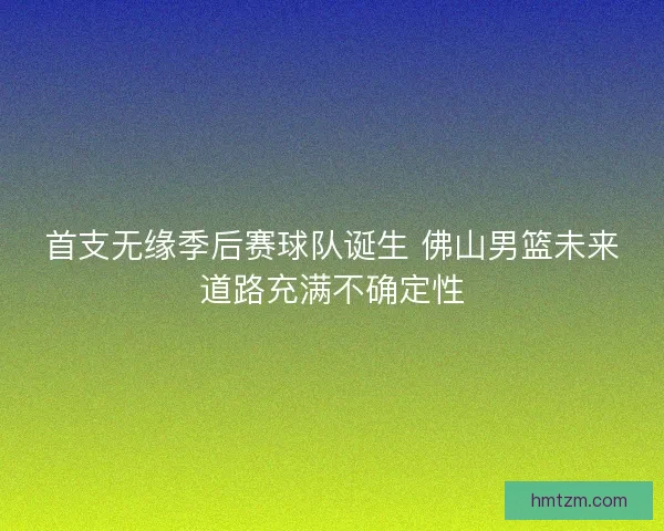 首支无缘季后赛球队诞生 佛山男篮未来道路充满不确定性 首支无缘季后赛球队诞生 佛山男篮未来道路充满不确定性